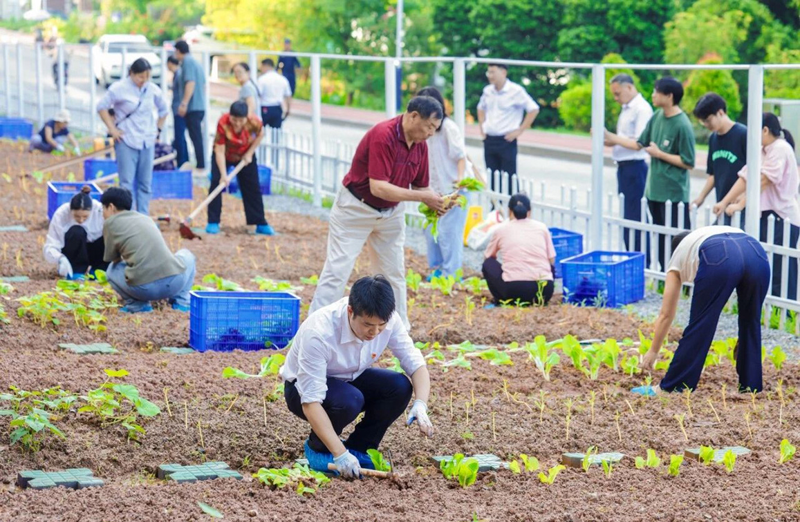 微信图片_2026-09-16_155557_407 拷贝.jpg